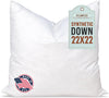22x22 synthetic down pillow insert on sofa