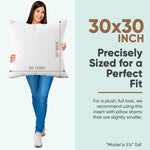 Synthetic Down Alternative Two Pack