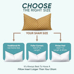 Synthetic Down Alternative Two Pack
