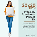 Synthetic Down Alternative Two Pack