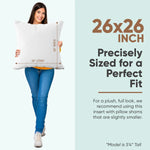 Synthetic Down Alternative Two Pack